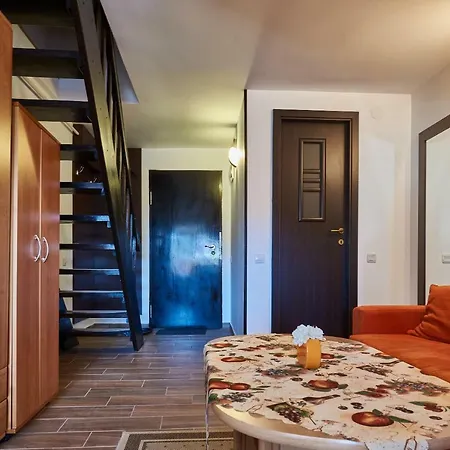 Apartament Poiana Lui Stechil Apartment Poiana Brasov